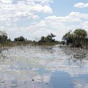 BWA NW OkavangoDelta 2016DEC02 Mokoro 028 : 2016, 2016 - African Adventures, Africa, Botswana, Date, December, Mokoro Base Camp, Month, Northwest, Okavango Delta, Places, Southern, Trips, Year